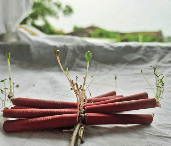 Screenshot 2022-09-12 at 12.04.08 PM